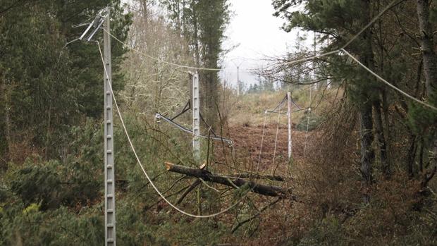 Árboles caídos sobre postes eléctricos en Lugo, causa de los apagones