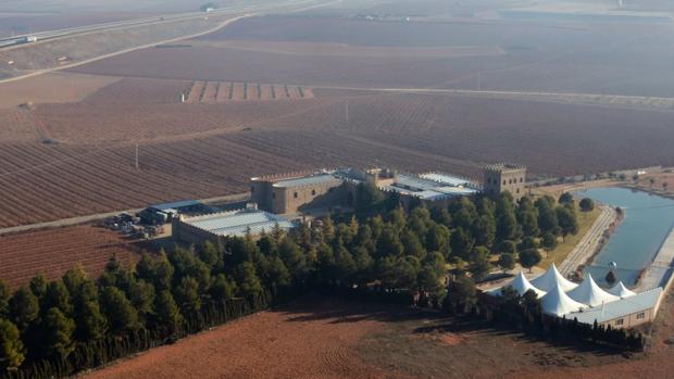 Viñedos y Bodegas El Castillo, en Villarrobledo