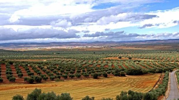 Paisaje de Campo de Montiel, donde hay un proyecto de tierras raras