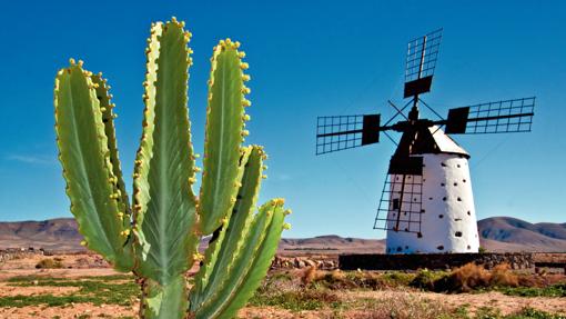 Fuerteventura