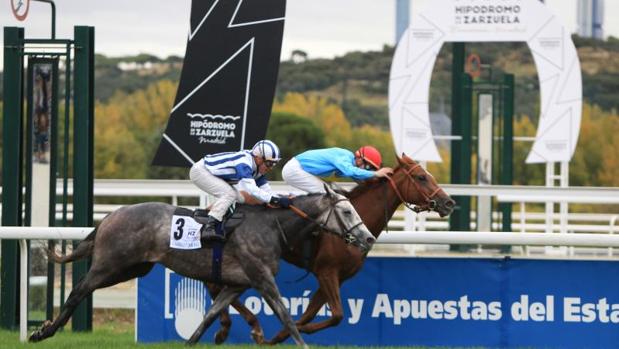 Carreras de caballos en el Hipódromo de la Zarzuela de Madrid