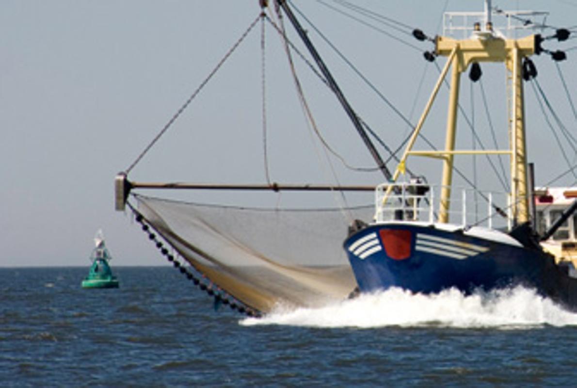 Buque pesquero faenando en aguas mauritanas