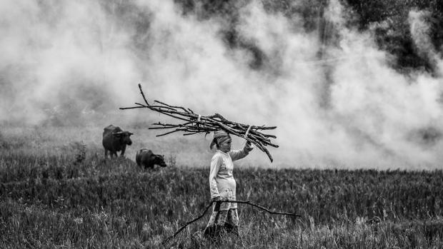 Fotografía ganadora en la categoría de mejor participante extranjero en el Concurso «Helie Memorial»