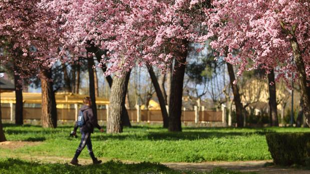 Así será la primavera en Castilla y León: temperaturas más altas de lo habitual y con precipitaciones normales