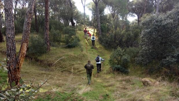 Convocan a los ayuntamientos para ampliar la red de senderos