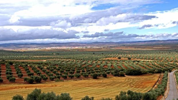 Campo de Montiel, en Ciudad Real