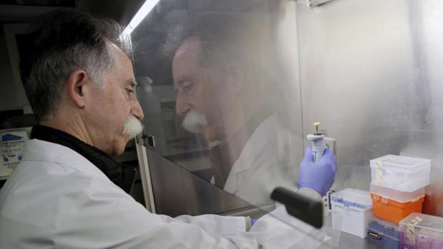 Salvador Aliño, coordinador del equipo de investigadores valencianos que ha desarrollado la vacuna