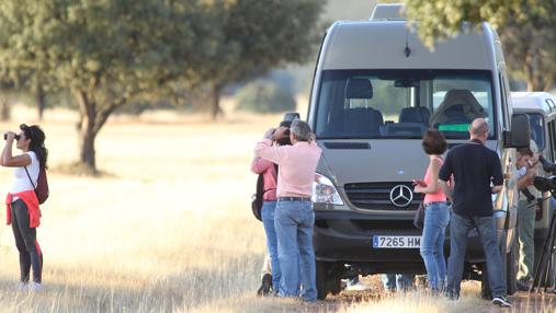 Un grupo de turistas, de visita en Cabañeros