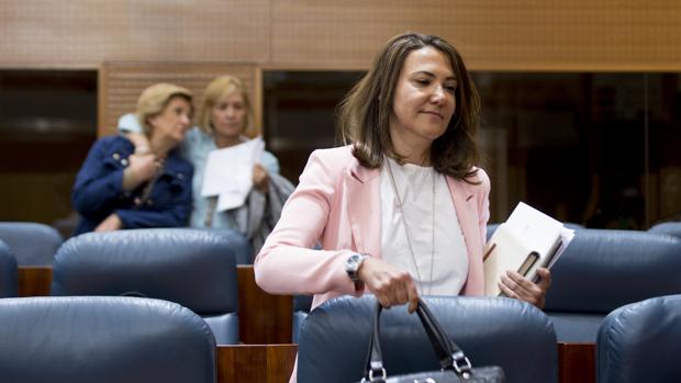 Isabel González, el jueves, en el pleno de la Asamblea de Madrid