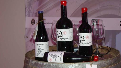 Nuevos vinos de «Garagewine»