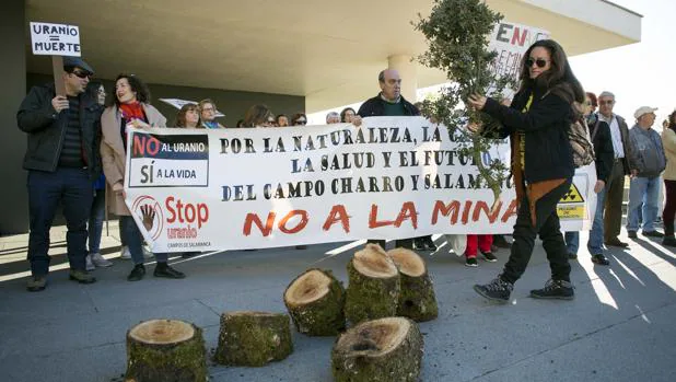 Protestas contra la tala de encinas en Retortillo ante las Cortes de Castilla y León
