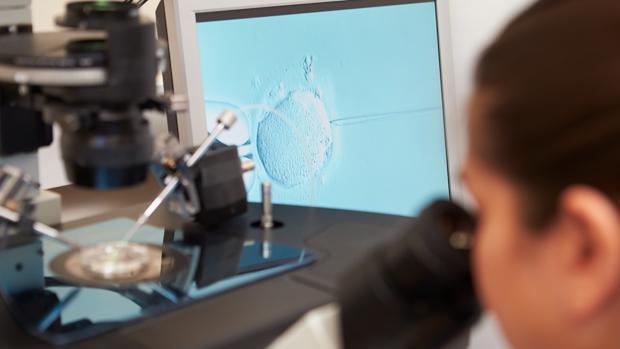 Un colegio deberá readmitir a una profesora a la que despidió tras someterse a una fecundación «in vitro»