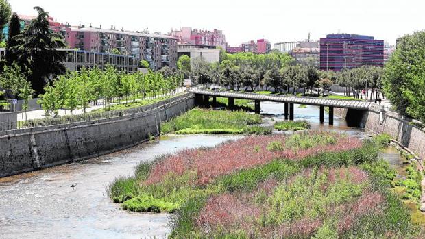 Aspecto del río con menos agua