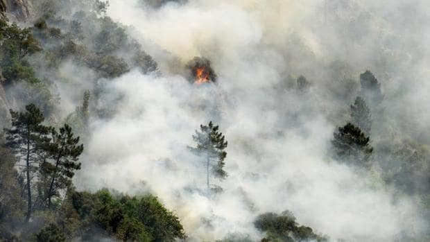 Pinos ardiendo en el monte Nogueira, de la parroquia de Santo Estevo de Anllo, Sober (Lugo)