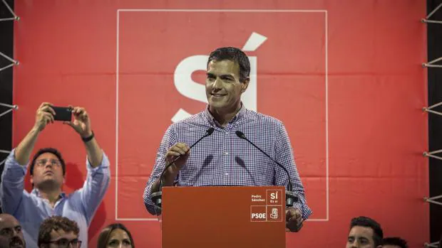 Pedro Sánchez, ex secretario general del PSOE