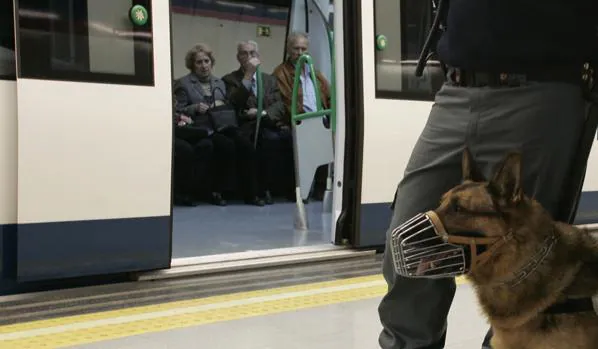 Un vigilante de seguridad patrulla con un perro en el Metro de Madrid