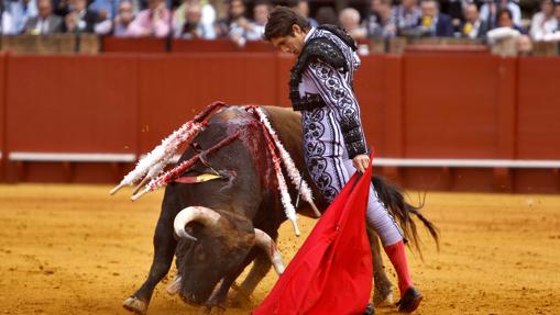 Sebastián Castella, en La Maestranza, durante esta última Feria de Abril