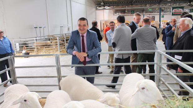 Francisco Martínez Arroyo, ayer durante el recorrido que realizó por el recinto de la feria