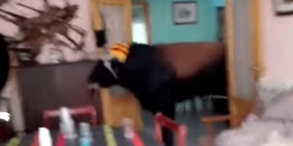 Youtube: Vídeo: un toro entra en una casa en pleno encierro en un pueblo de Valencia