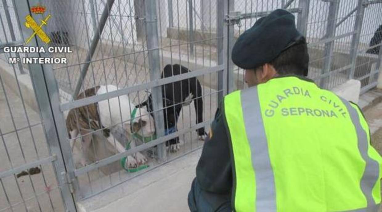 Un agente observa los perros que causaron el ataque