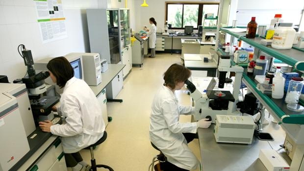Varias científicas trabajan en uno de los laboratorios del centro de investigación de Anfaco-Cecopesca