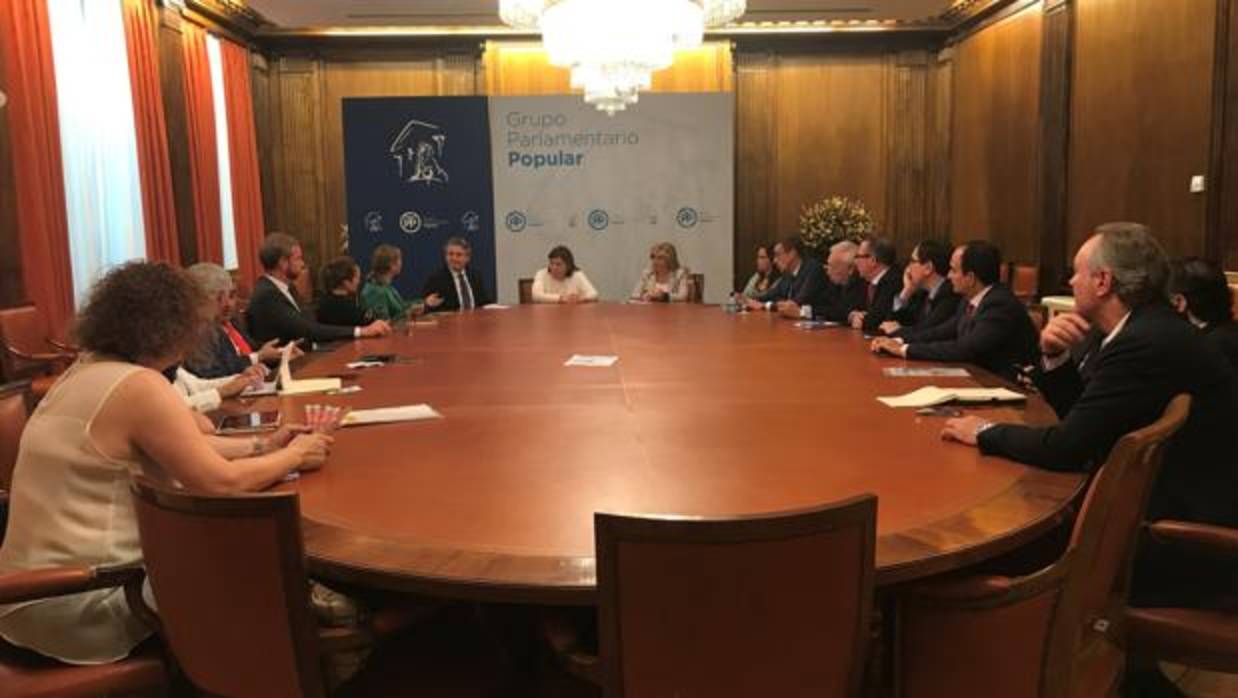 Imagen de la reunión de Isabel Bonig y Eva Ortiz con los parlamentarios del PP en el Congreso