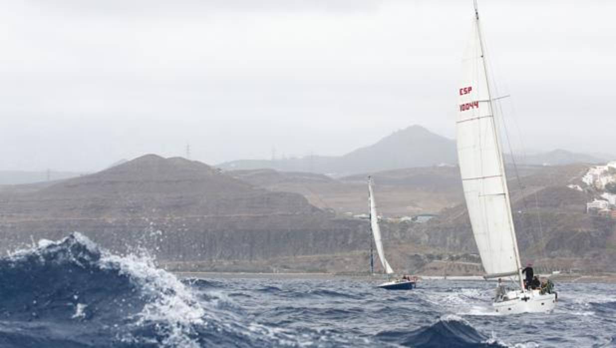 Momento de la prueba del pasado fin de semana en la capital grancanaria