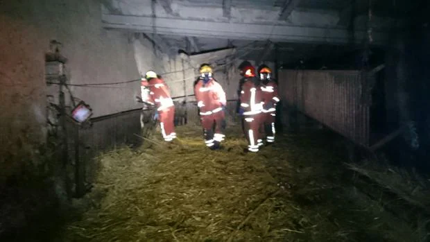 Imagen de los bomberos en el interior de la granja calcinada