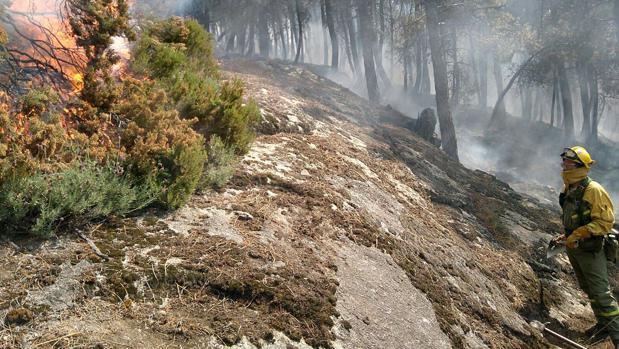 Incendio declarado el pasado fin de semana en la Sierra del Tiétar