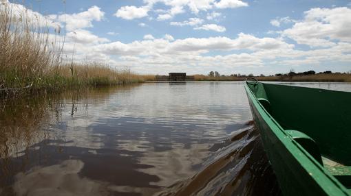 Una barca navega sobre el agua de las Tablas de Daimiel