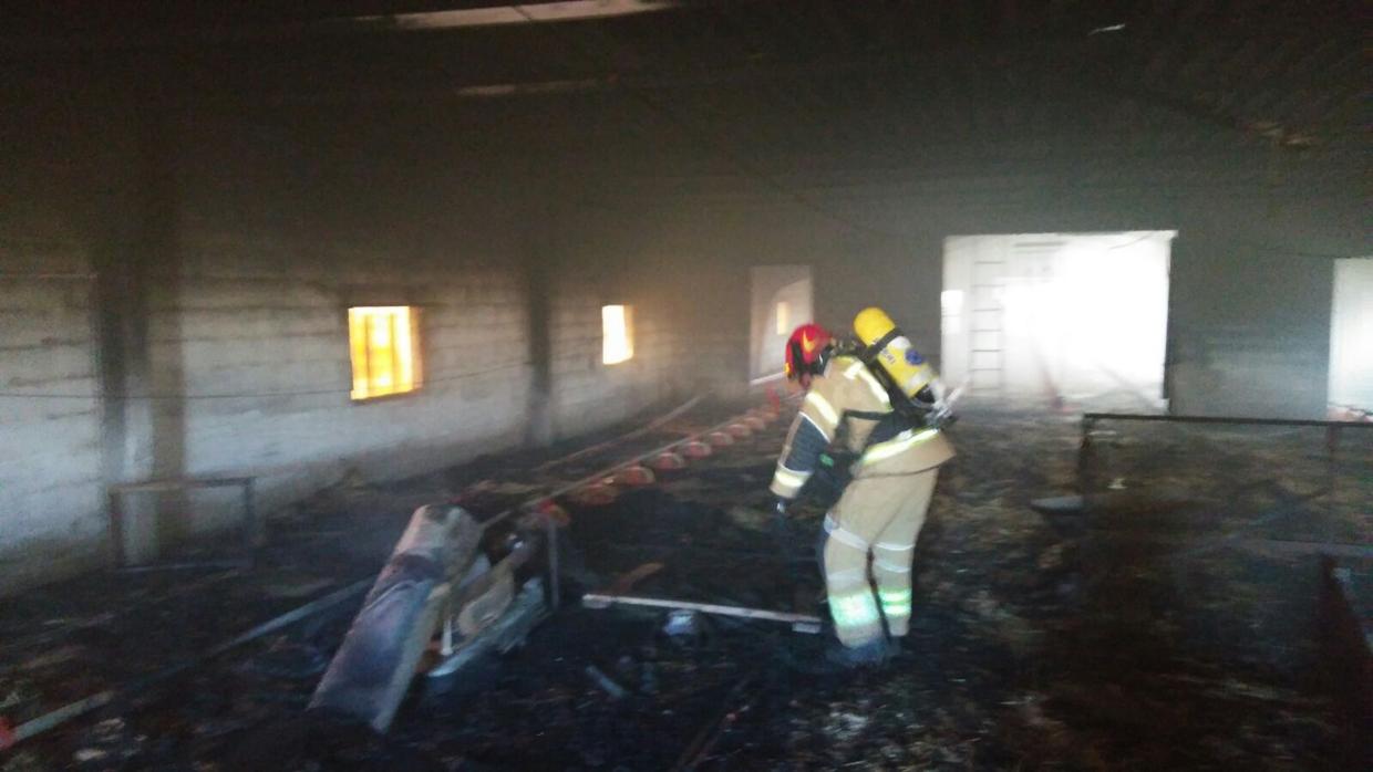 Los bomberos, en el interior de la granja siniestrada