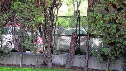 Verja de la piscina del barrio del Pilar, por donde se cuela la gente