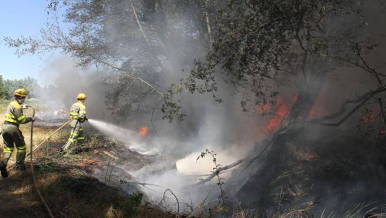 Efectivos de extinción en un incendio originado el 2 de julio en un vertedero ilegal de escombros y enseres en Monzón de Campos (Palencia)