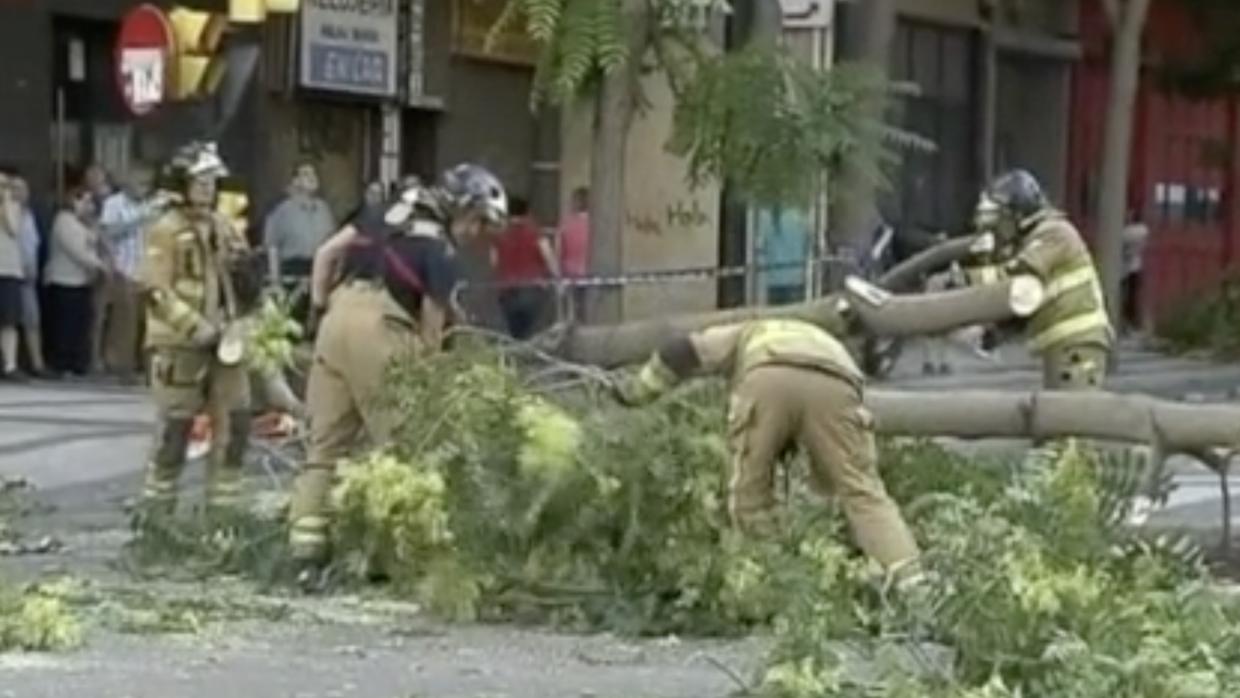 Bomberos retirando un árbol que cayó sobre un hombre de 71 años en Zaragoza