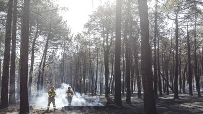 Un incendio presuntamente intencionado calcina doce hectáreas en las Arribes del Duero