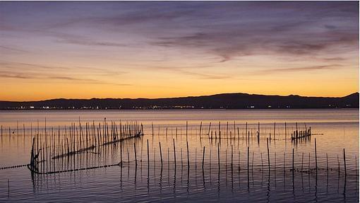 Imagen de L'Albufera