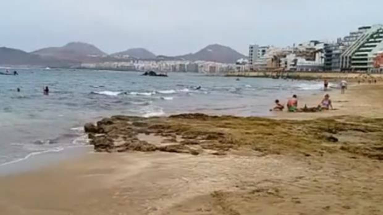 Playa de Las Canteras, el pasado domingo con alerta naraja por calor en algunas islas