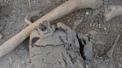 Urna y restos hallados en la necrópolis