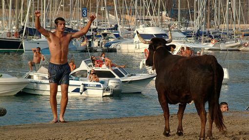 Imagen de la fiesta «bous a la mar» de Jávea