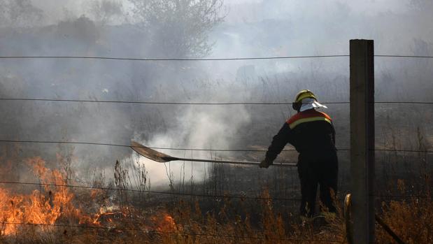 Un incendio originado en una zona de matorral entre León y la localidad de La Virgen del Camino convoca a numerosos medios de la Junta y varias dotaciones de bomberos