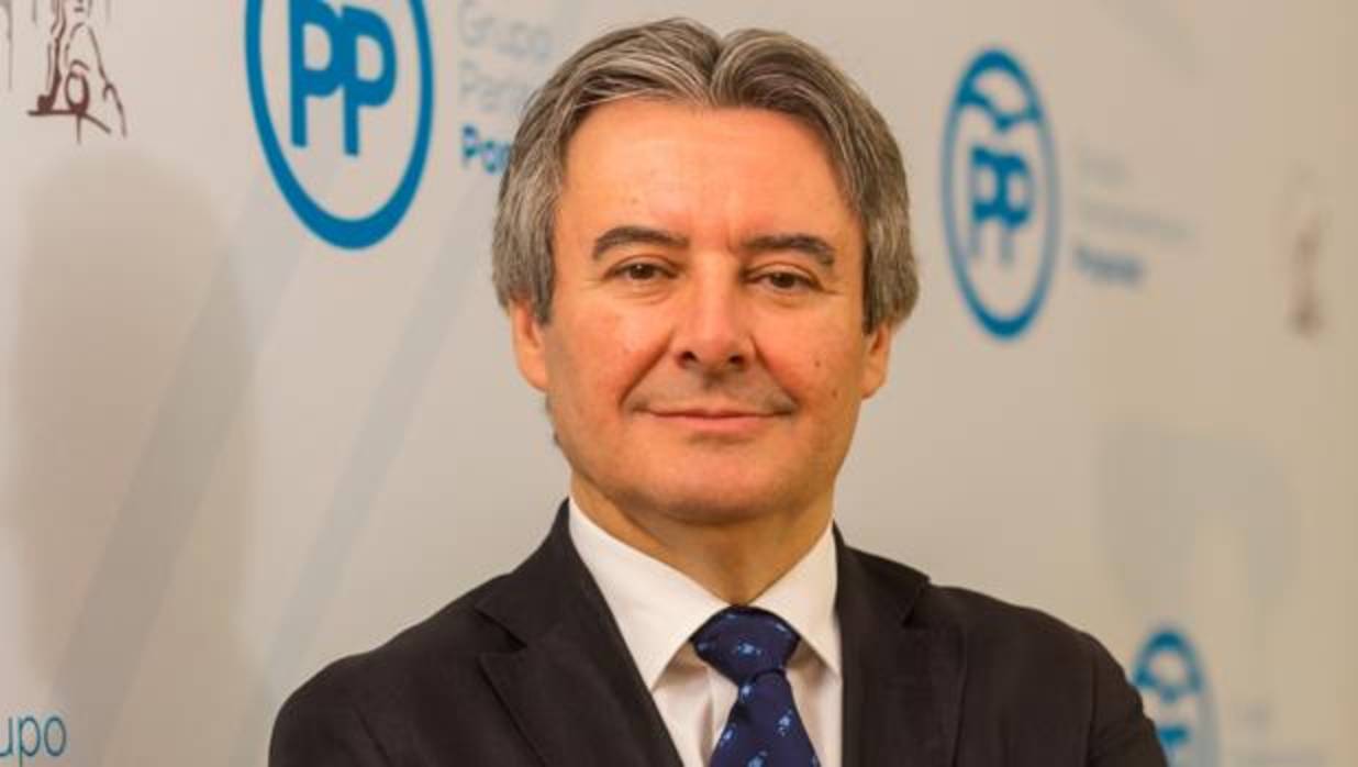 Imagen del presidente de la gestora del PP de la provincia de Valencia, Rubén Moreno