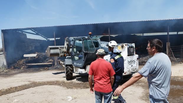 Instalaciones afectadas por el incendio en Pino del Oro