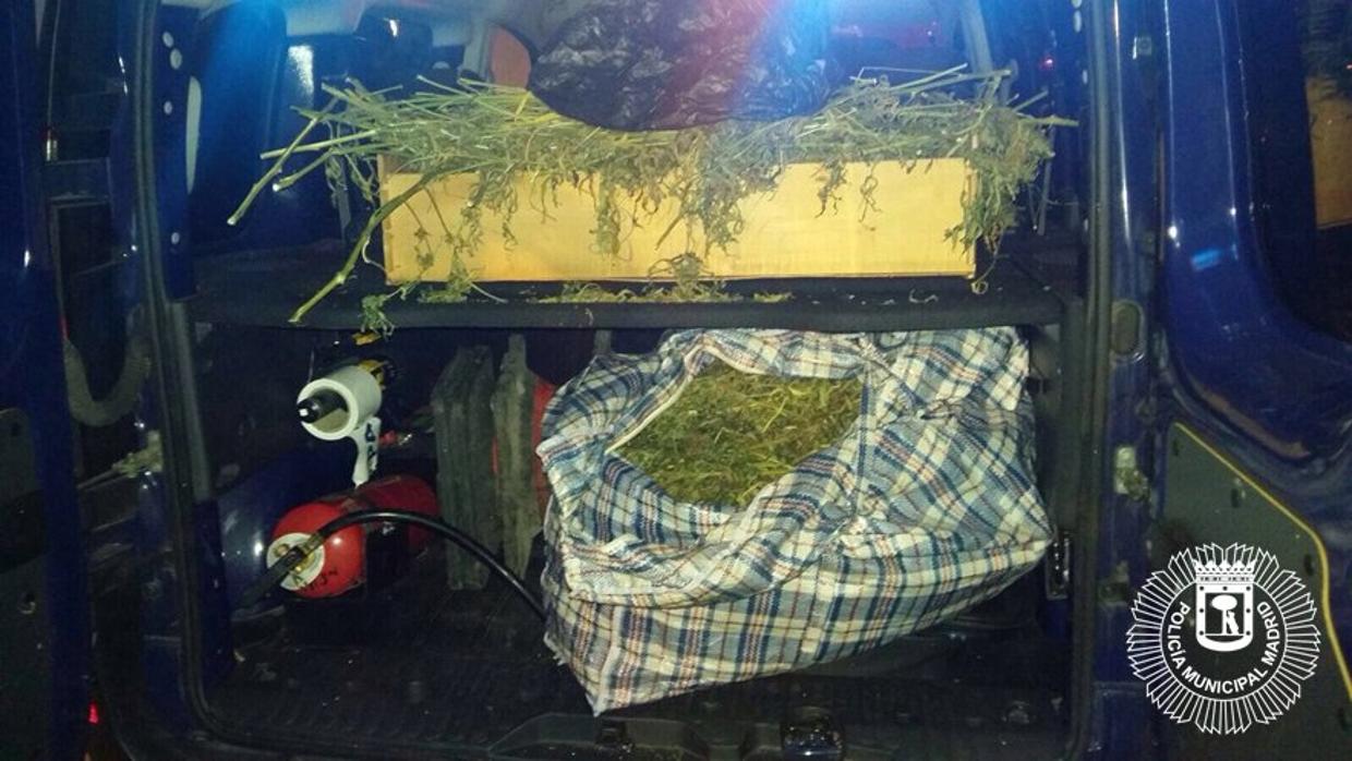 Bolsas de marihuana localizadas en el automóvil