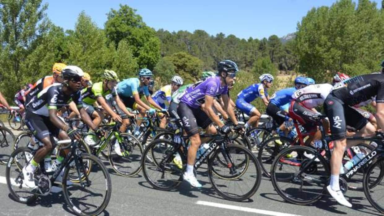 El lider de la Vuelta Ciclista a Burgos, Mike Landa (morado), en el pelotón