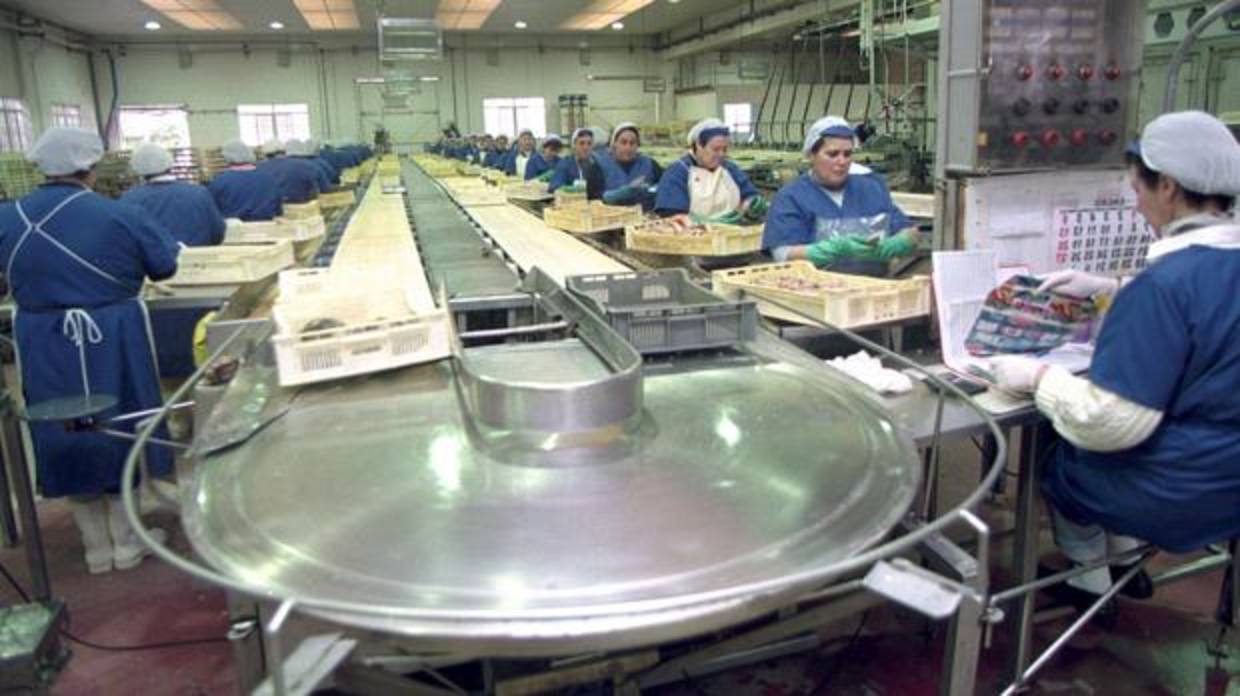 Un grupo de trabajadoras, en una fábrica de conservas en Vilaxoán (Pontevedra)