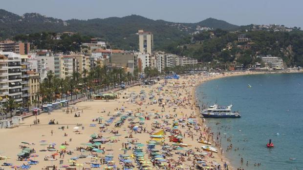 Un joven fallece al caer de madrugada por un barranco en Lloret de Mar