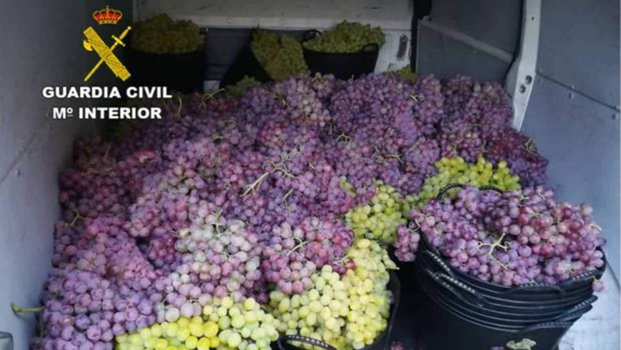 Imagen de la furgoneta con las uvas robadas