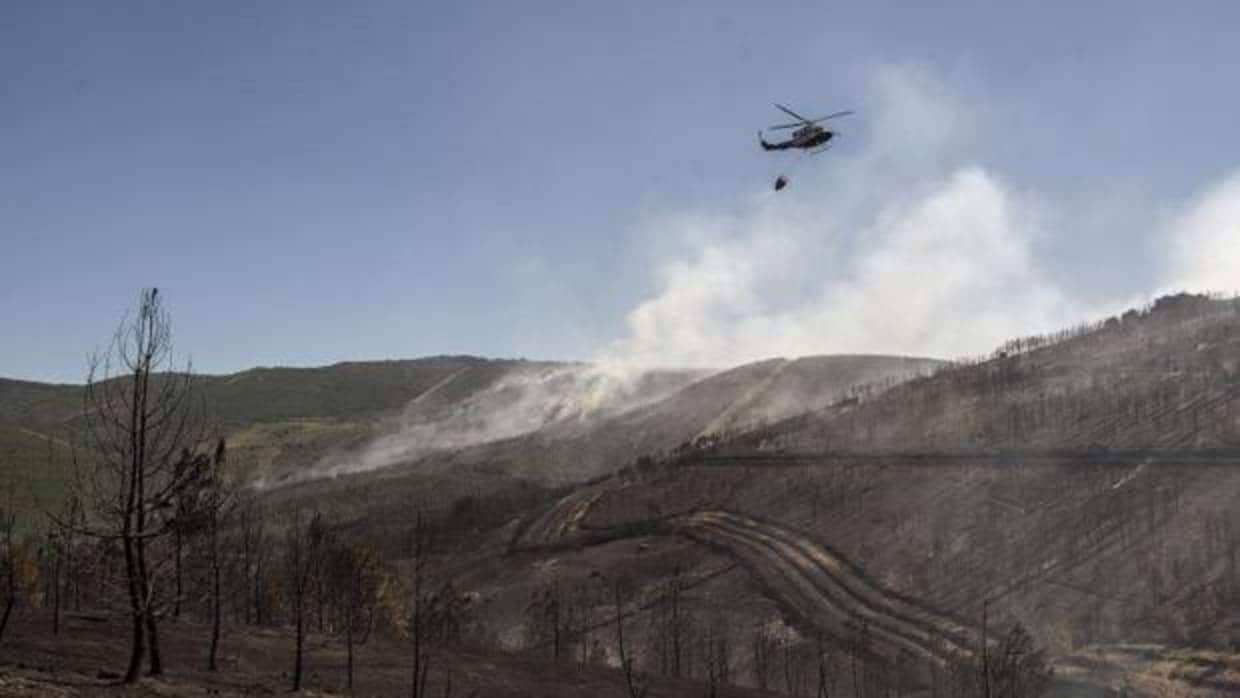 Trabajos de extinción del incendio forestal en Verín, declarado la semana pasada