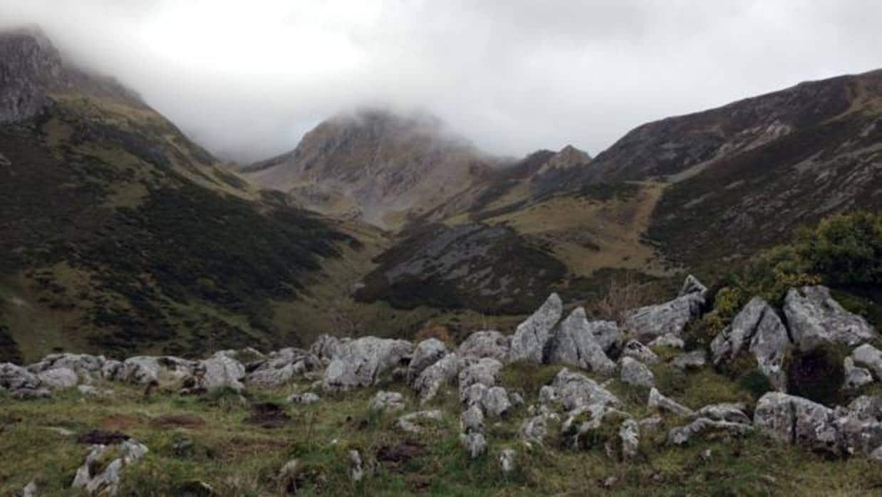 Imagen del pico La Polinosa