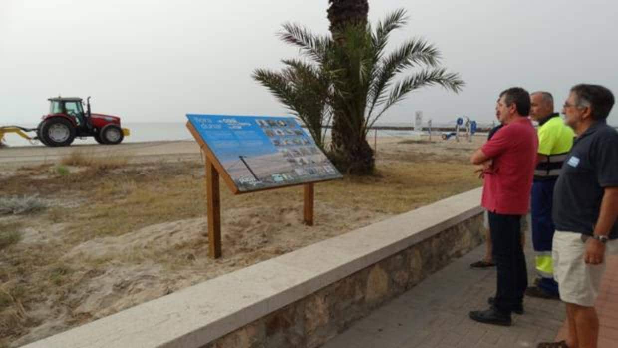 Josep Bort visita l'ecosistema dunar de la platja de Puçol